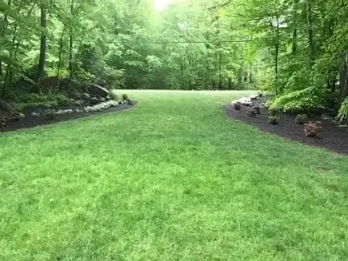 Landscape Services, Branford, CT