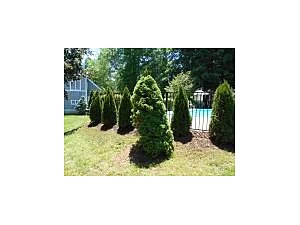 Landscape Design